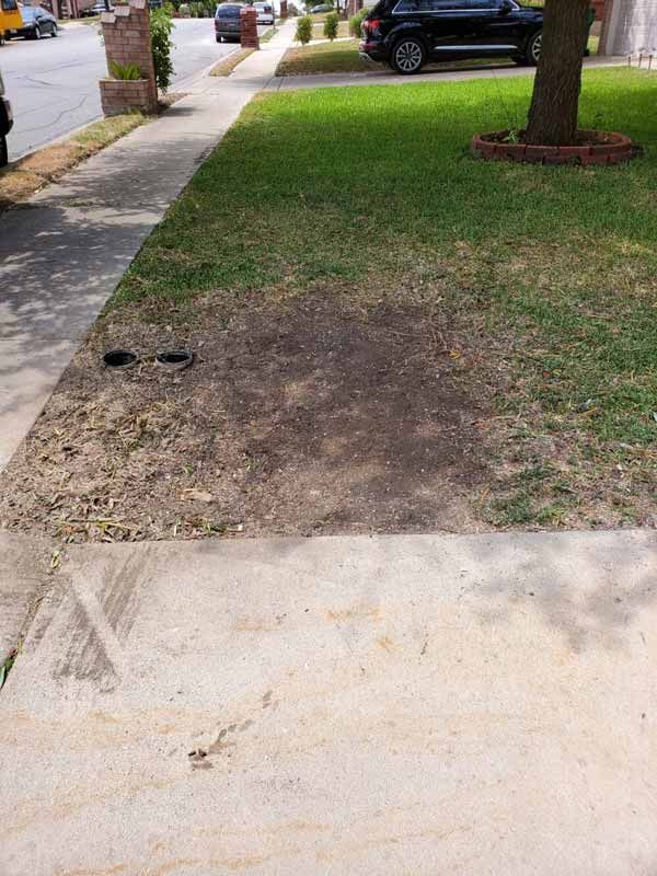 Tree Stump Removal