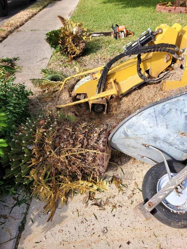 Tree Stump Removal