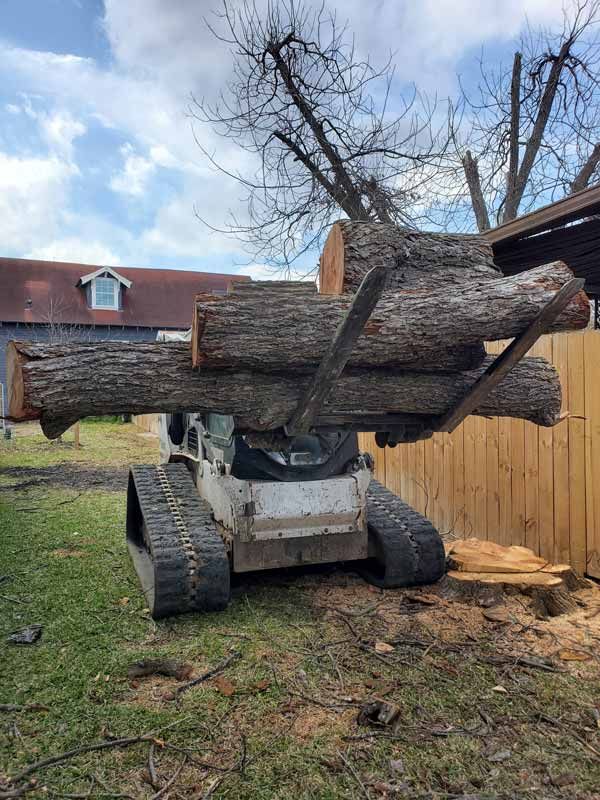 Tree Removal Services